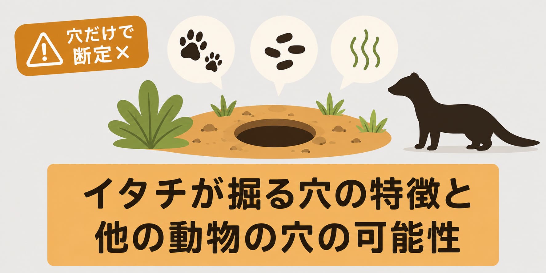 イタチが掘る穴の特徴と他の動物の穴の可能性