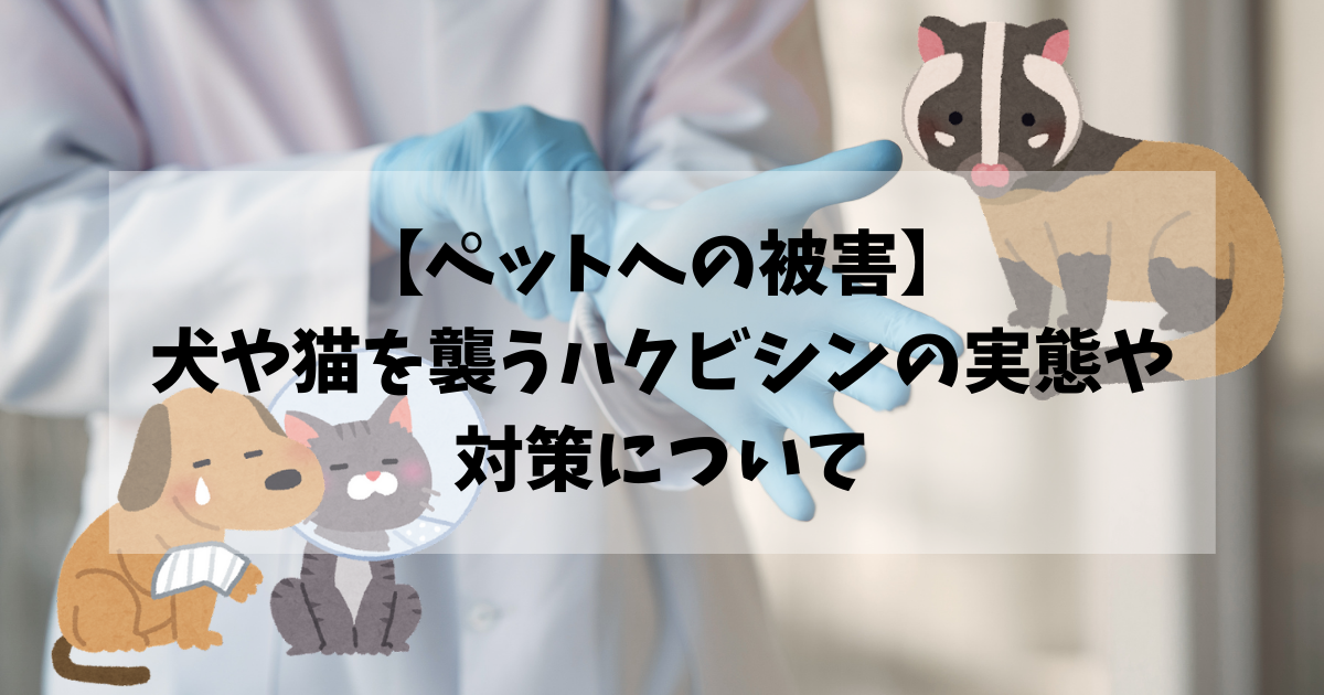 ペットがハクビシンに噛まれた 犬や猫を襲うハクビシンの実態や対策について 害獣駆除plus プロが解説するお役立ち情報サイト