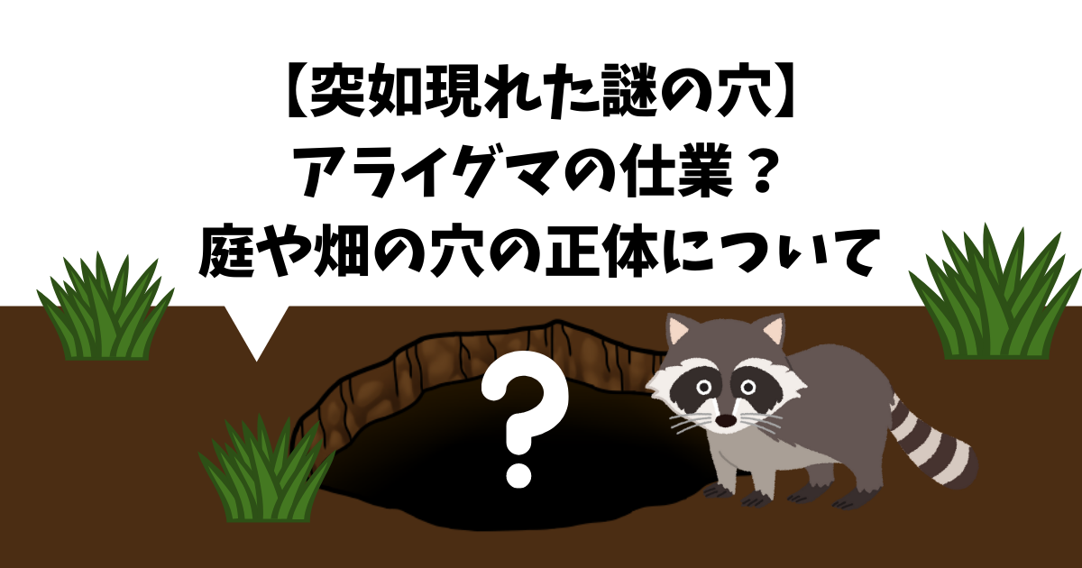 アライグマの穴掘りの仕業 庭や畑の穴の正体について 害獣駆除plus プロが解説するお役立ち情報サイト