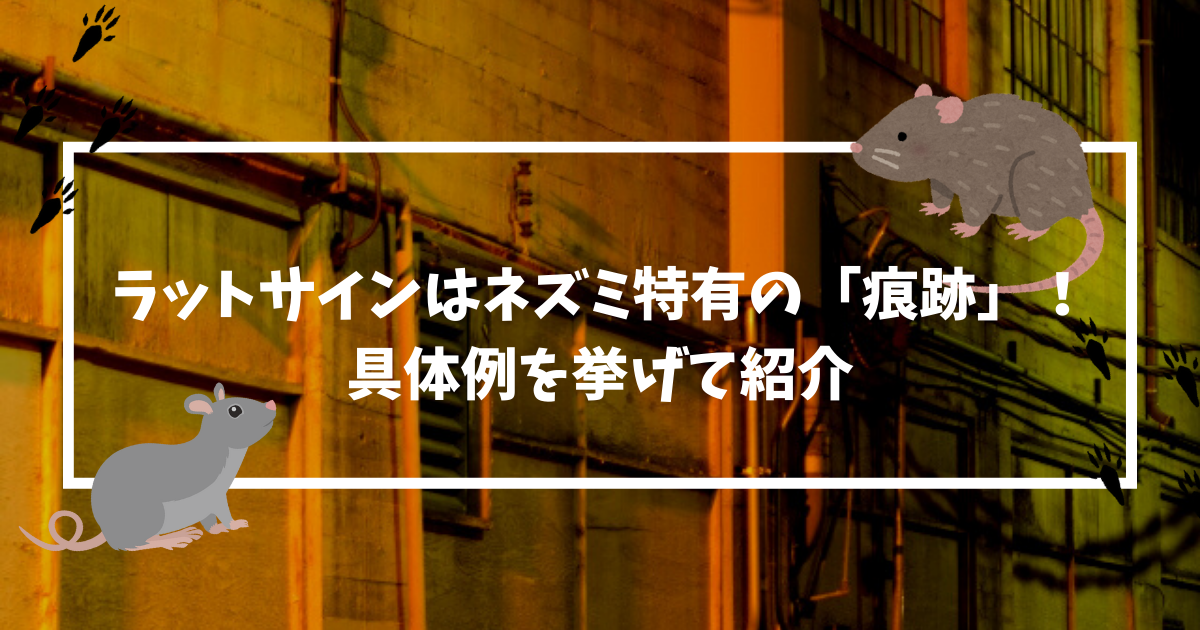 ラットサインはネズミ特有の 痕跡 具体例を挙げて紹介 害獣駆除plus プロが解説するお役立ち情報サイト