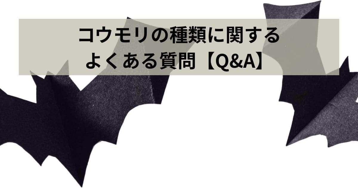 コウモリの種類に関するよくある質問【Q&A】