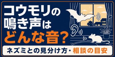 コウモリの鳴き声はどんな音？ネズミとの見分け方・相談の目安