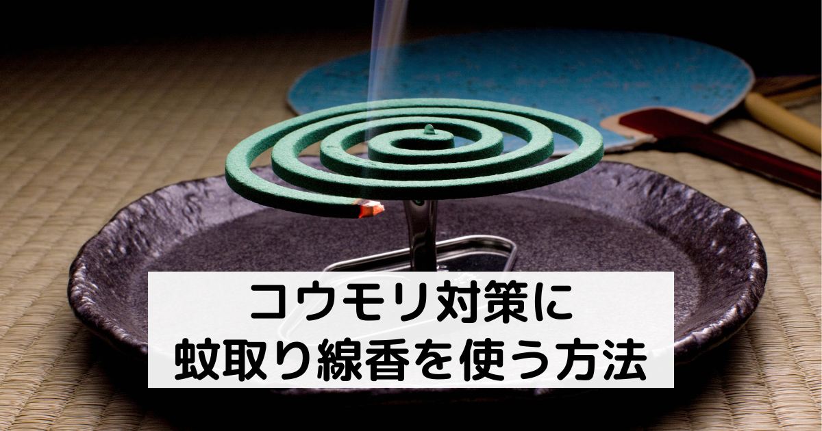 コウモリ対策に蚊取り線香 ハッカ油が有効 効果的な使い方と注意点 害獣駆除plus プロが解説するお役立ち情報サイト