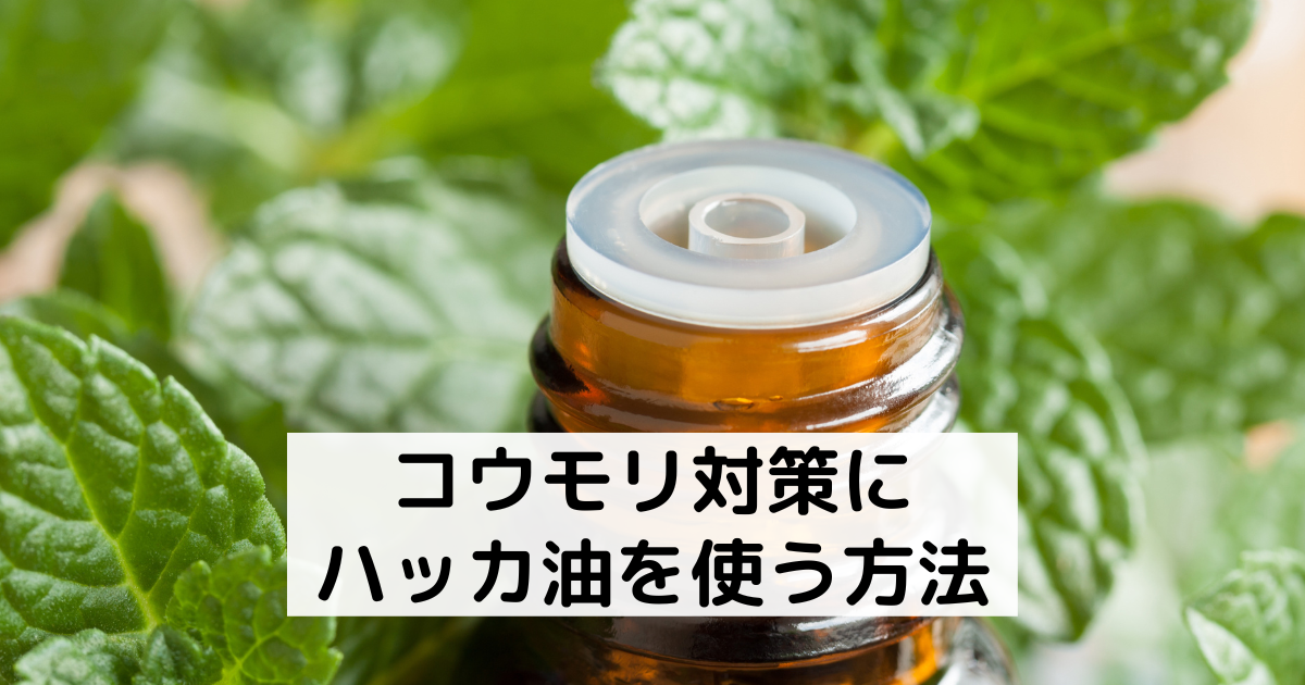 コウモリ対策に蚊取り線香 ハッカ油が有効 効果的な使い方と注意点 害獣駆除plus プロが解説するお役立ち情報サイト