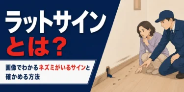 キッチン・家具の裏・壁際・天井裏などラットサインが見つかりやすい場所の図