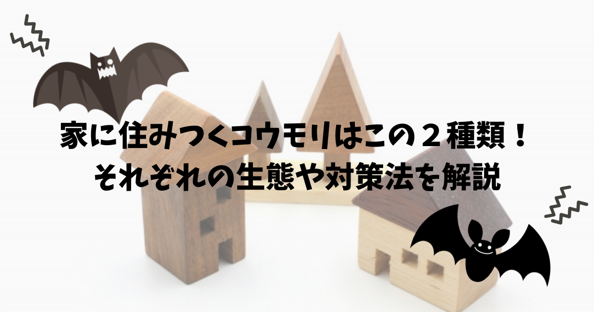 コウモリくらやみをいく: めずらしい小動物の生活 (生きものばんざい 7) コウモリくらやみをいく: めずらしい小動物の生活 (生きもの