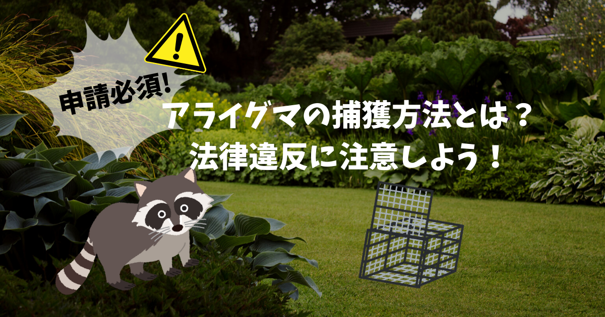 おまとめ済アライグマの帯留1500円 【公式通販】