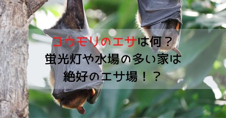 コウモリのエサは何 蛍光灯や水場の多い家は絶好のエサ場 害獣駆除plus プロが解説するお役立ち情報サイト
