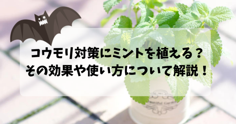 コウモリ対策にミントを植える その効果や使い方について解説 害獣駆除plus プロが解説するお役立ち情報サイト