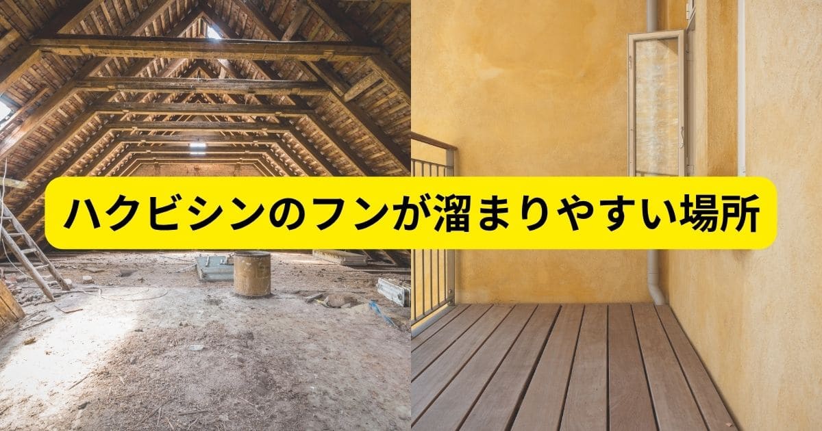 ハクビシンのフンが溜まりやすい場所