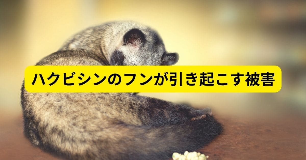 ハクビシンのフンが引き起こす被害
