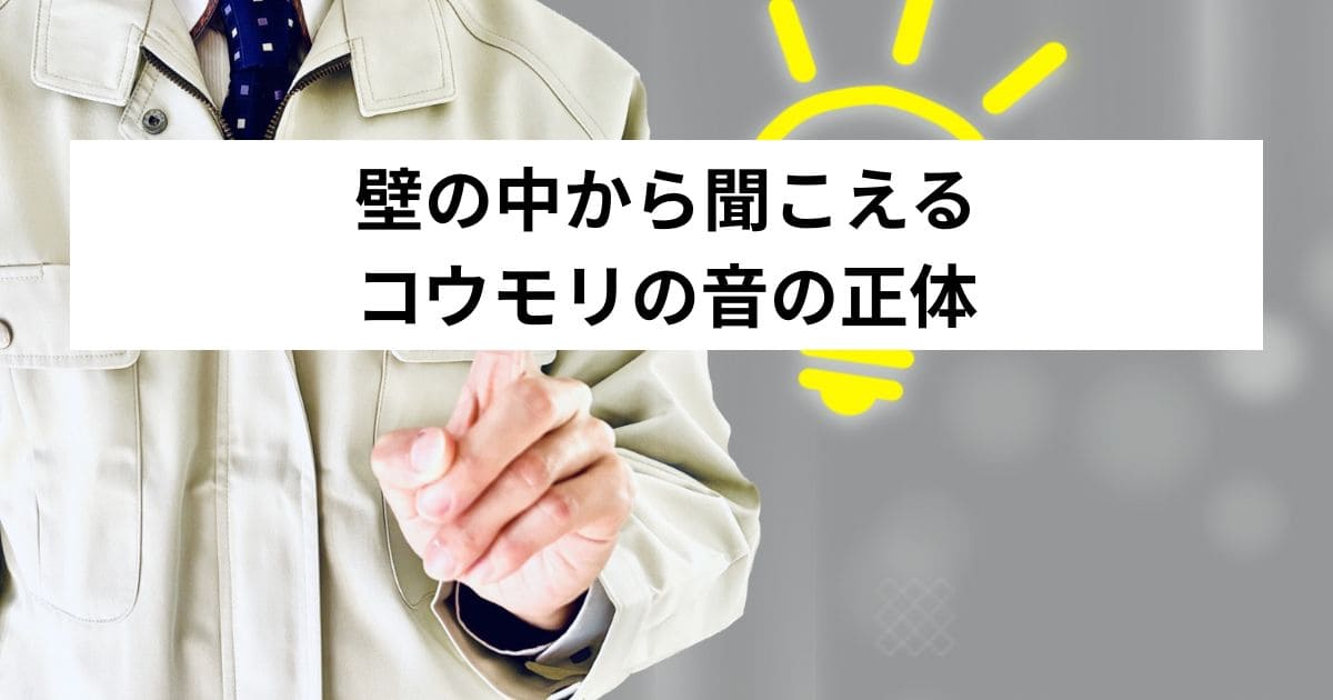 壁の中から聞こえるコウモリの音の正体