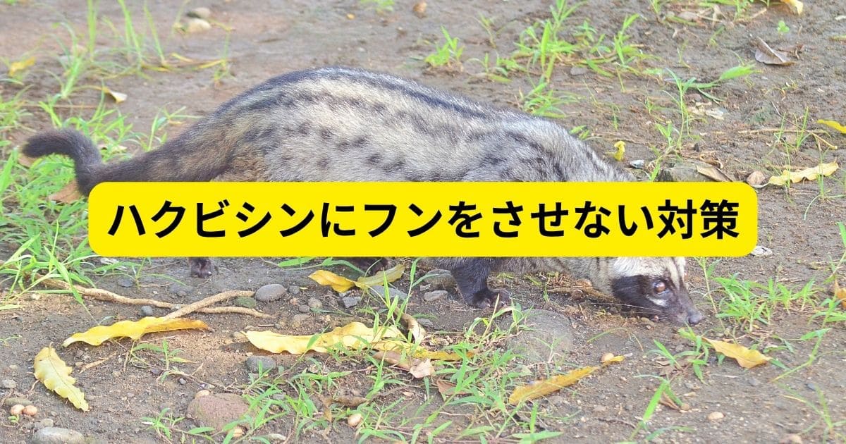 ハクビシンにフンをさせない対策