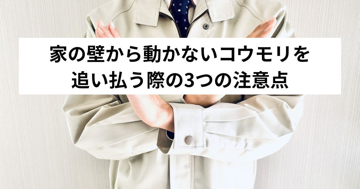 家の壁から動かないコウモリを追い払う際の3つの注意点