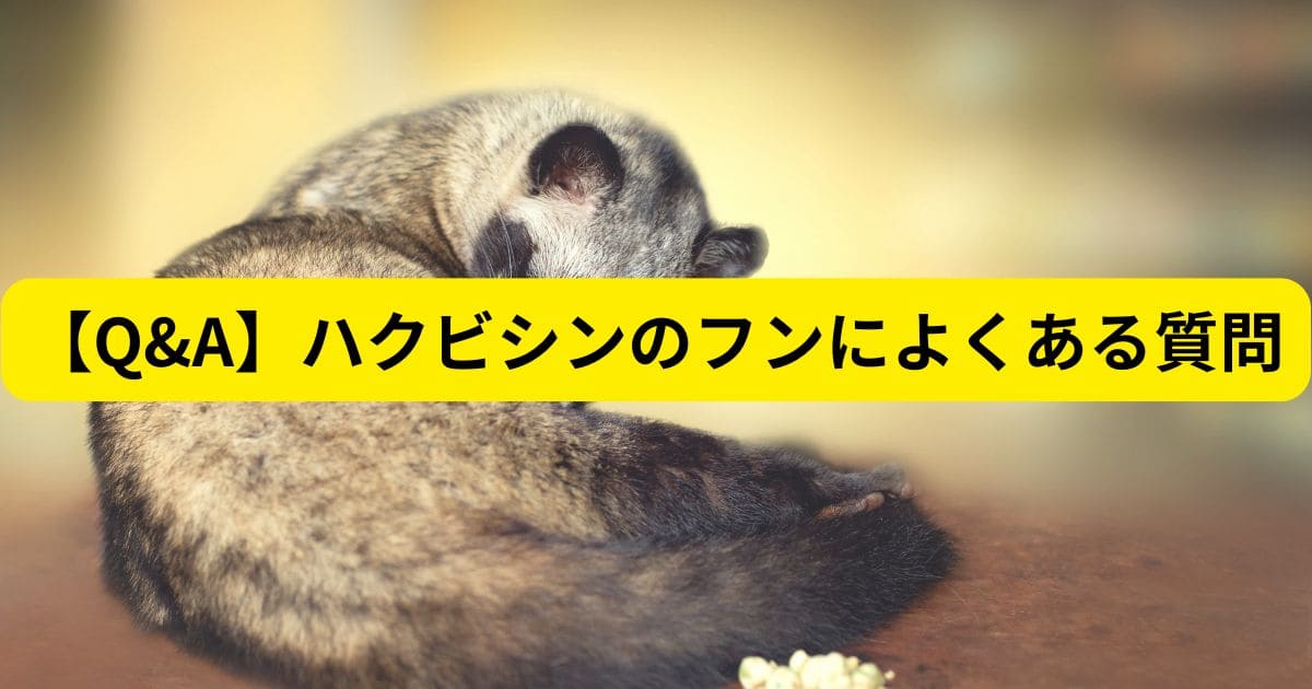 【Q&A】ハクビシンのフンによくある質問