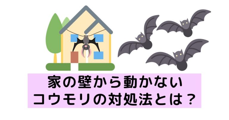 【放置は危険！】家の壁から動かないコウモリの対処法とは？