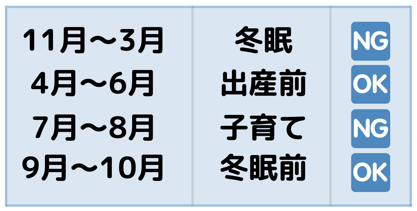 コウモリの嫌いな音を使ったお手軽な撃退法 レスキューラボ 2の超音波バット忌避パック 72時間でコウモリを取り除く Vladatk Kim Ba