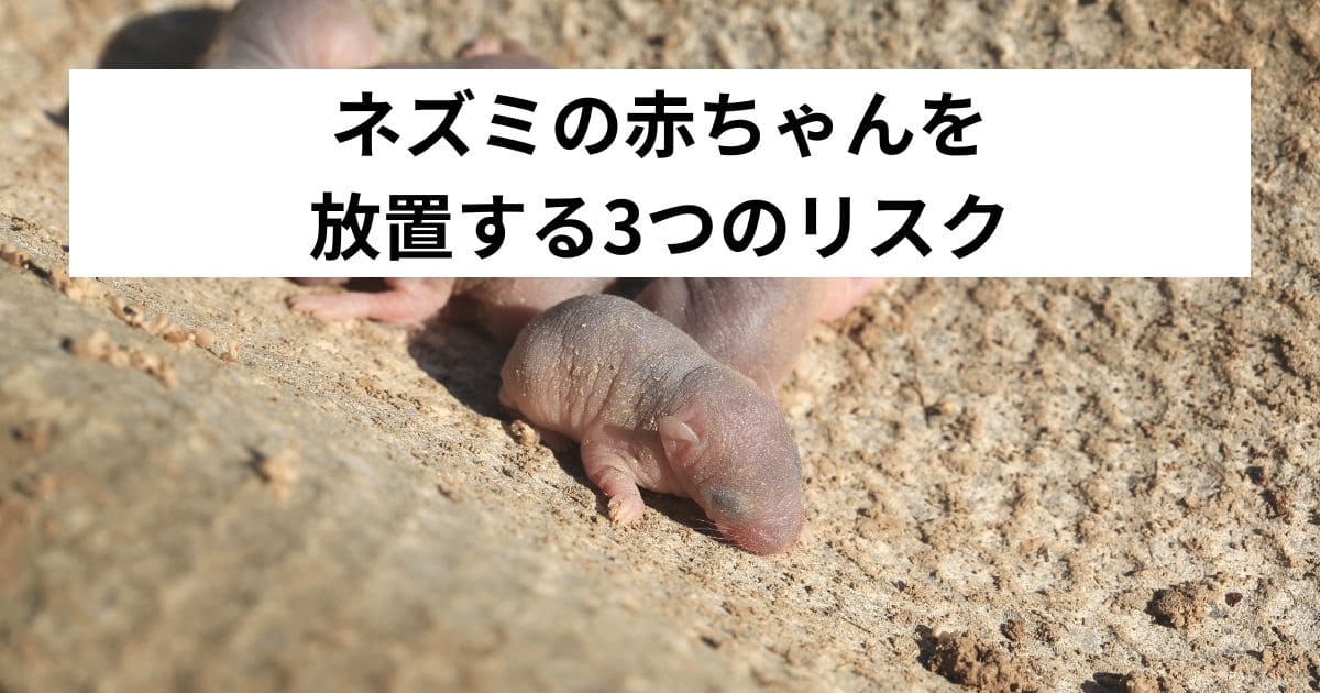 ネズミの赤ちゃんを放置する3つのリスク