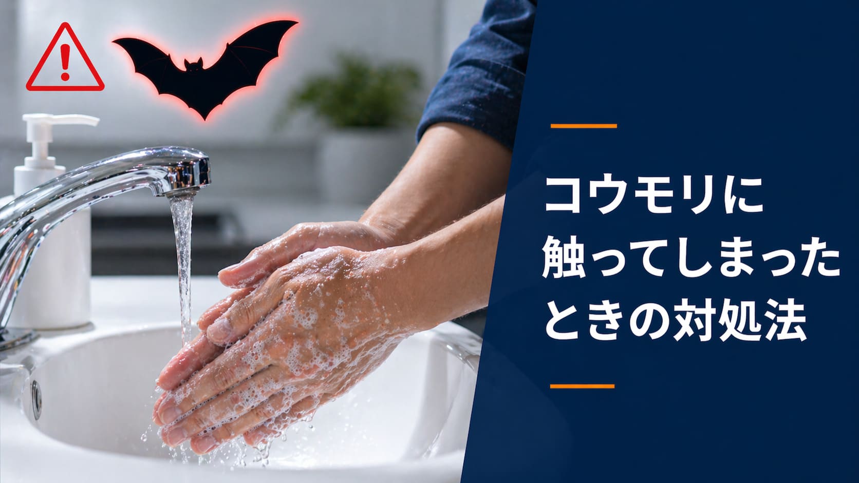 コウモリに触ってしまったときの対処法