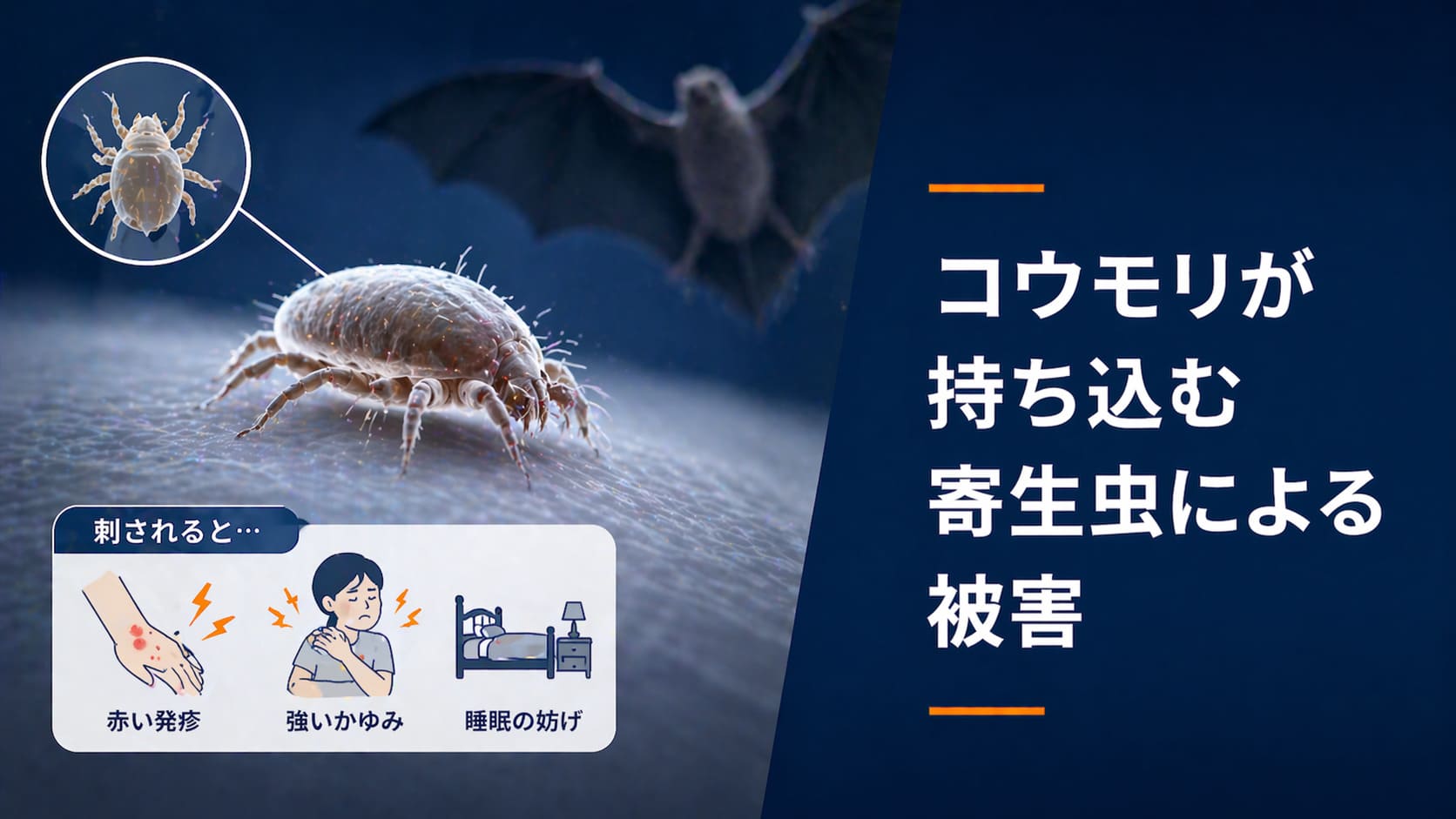 コウモリが持ち込む寄生虫による被害