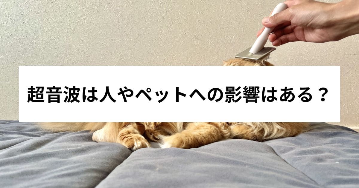 超音波は人やペットへの影響はある?