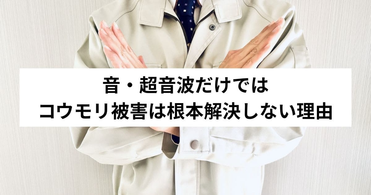 音・超音波だけではコウモリ被害は根本解決しない理由