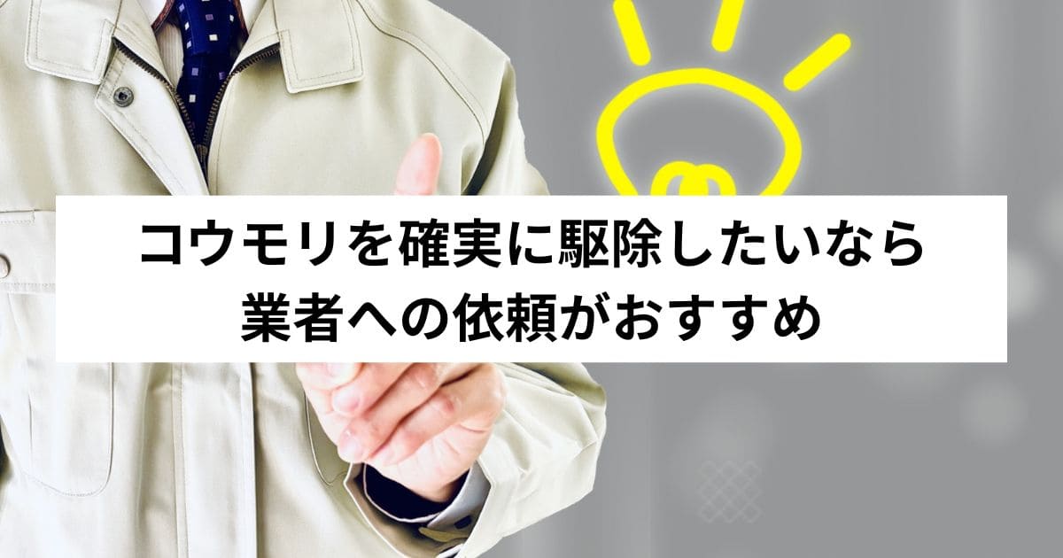 コウモリを確実に駆除したいなら業者への依頼がおすすめ