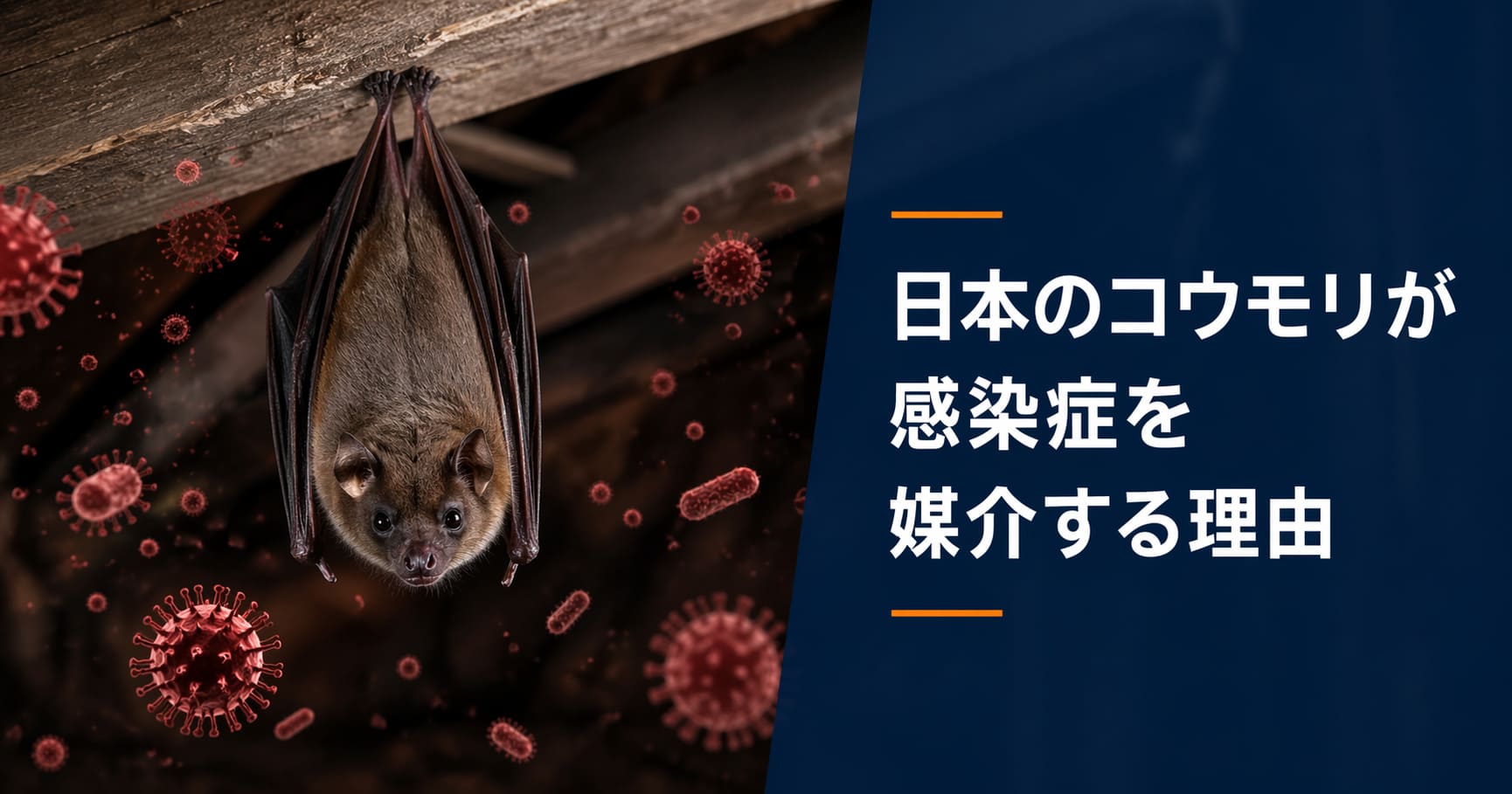 日本のコウモリが感染症を媒介する理由