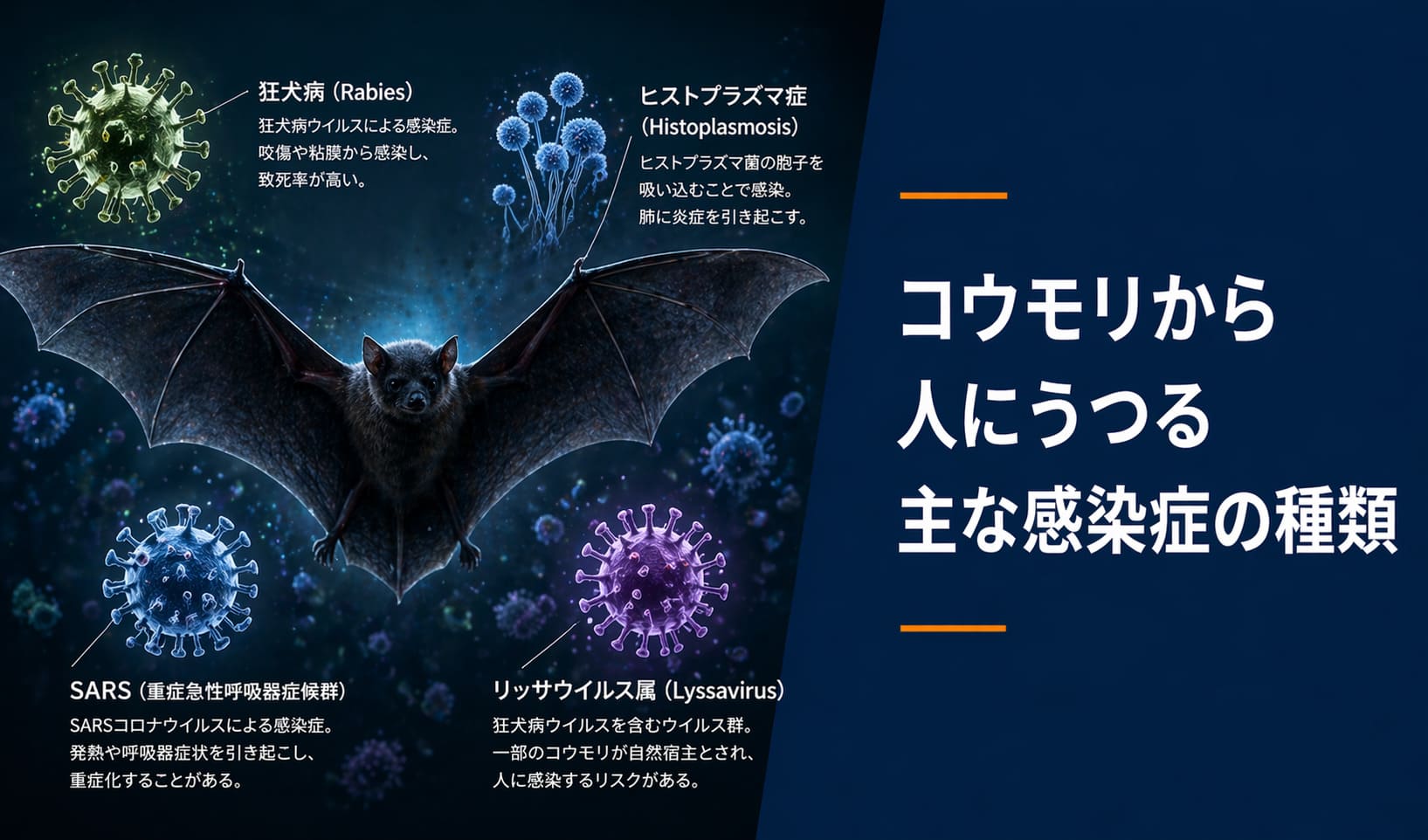コウモリから人にうつる主な感染症の種類