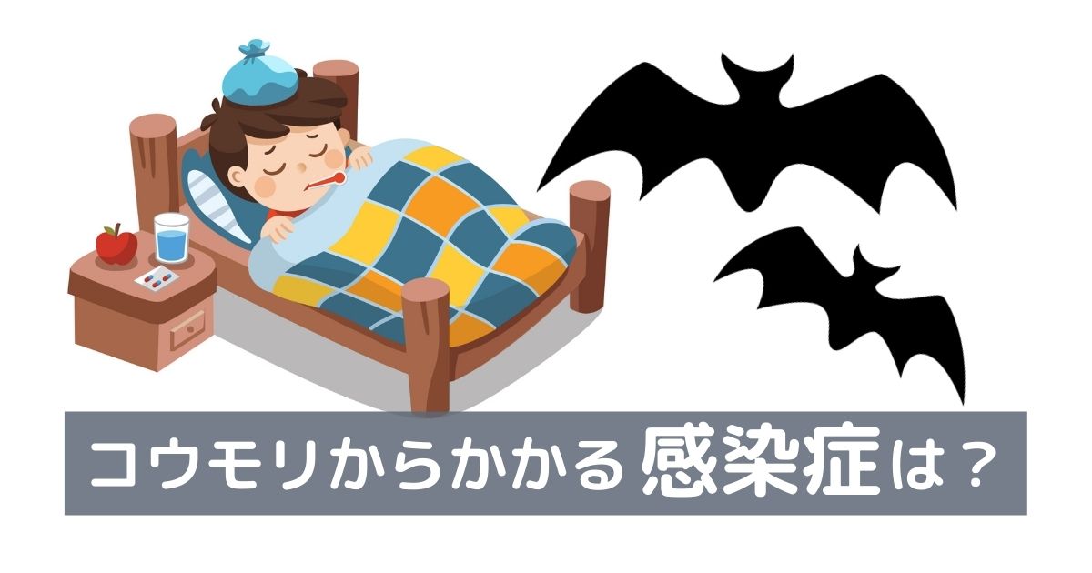 コウモリからかかる感染症は？空気感染の有無や駆除方法も解説