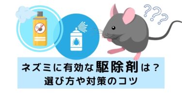 ネズミに有効な駆除剤は？選び方や対策のコツをプロが解説！