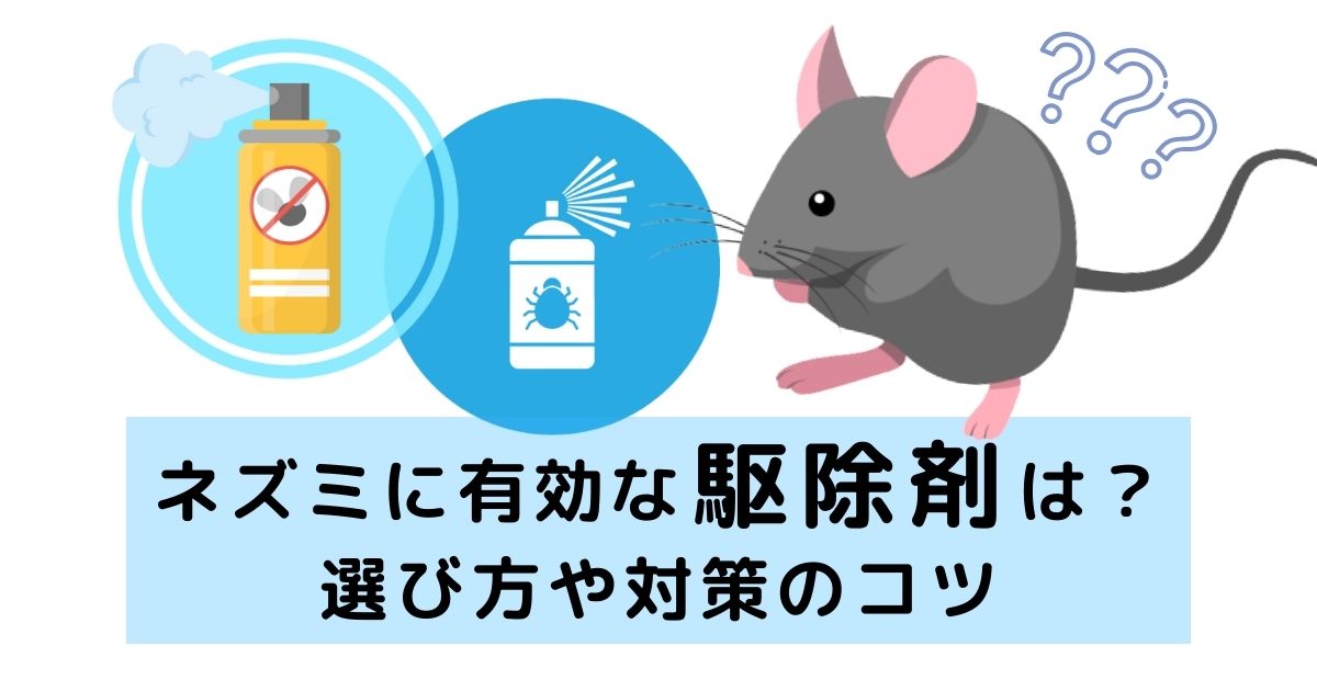 ネズミに有効な駆除剤は？選び方や対策のコツをプロが解説！ - 駆除