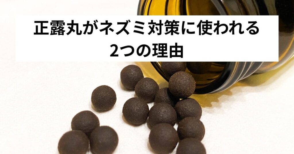 正露丸がネズミ対策に使われる2つの理由