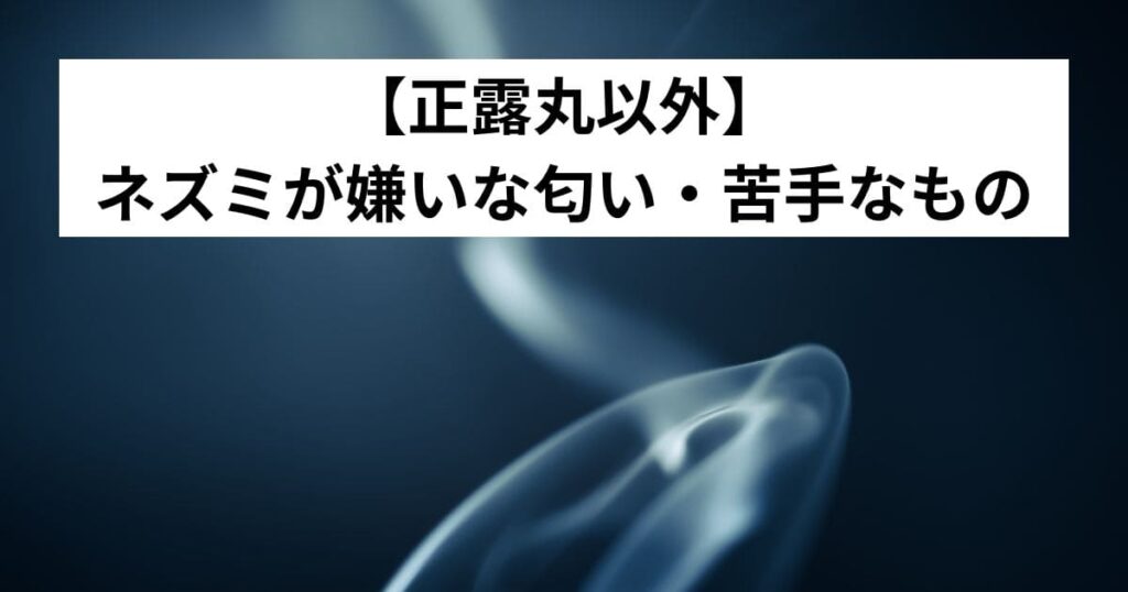 【正露丸以外】ネズミが嫌いな匂い・苦手なもの