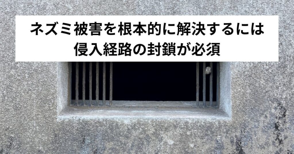 ネズミ被害を根本的に解決するには侵入経路の封鎖が必須