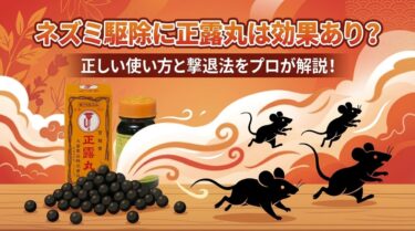 ネズミ駆除に正露丸は効果あり？正しい使い方と撃退法をプロが解説！