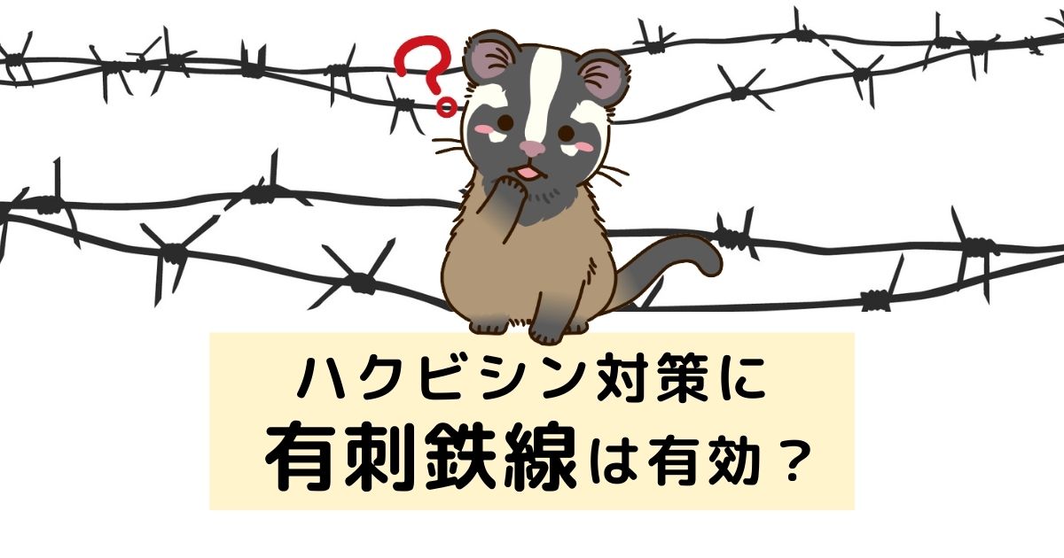 ハクビシン対策に有刺鉄線は有効?設置の方法や他の対処法も解説 害獣駆除PLUS プロが解説するお役立ち情報サイト ハクビシン対策に有刺鉄線は有効?設置の方法や他の対処法も解説 害獣駆除PLUS プロが解説するお役立ち情報サイト