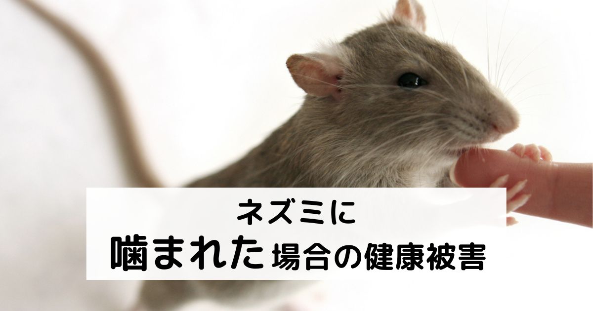 ネズミに噛まれた場合の健康被害