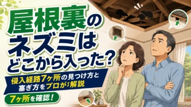 屋根裏のネズミはどこから入った？侵入経路7ヶ所の見つけ方と塞ぎ方をプロが解説
