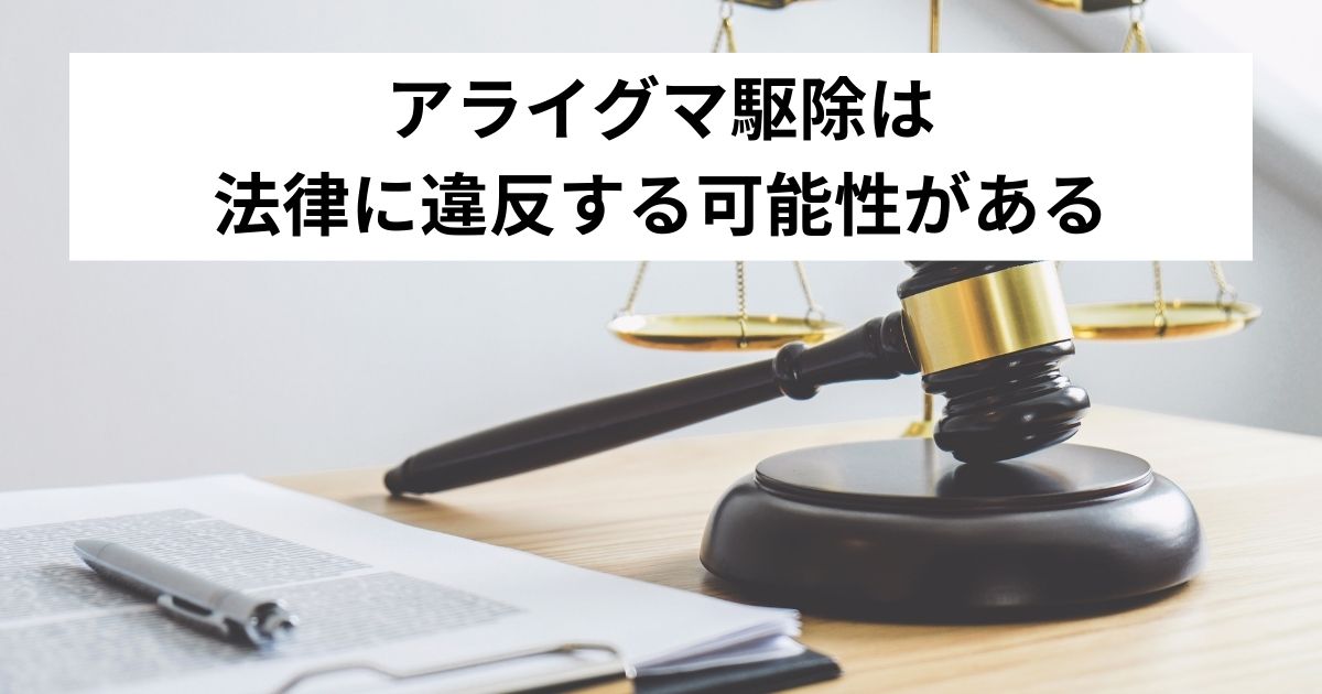 アライグマ駆除は法律に違反する可能性がある