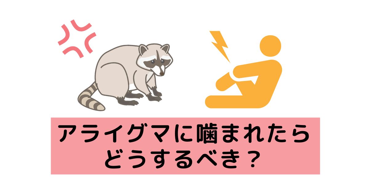 それはどんな感じですか？