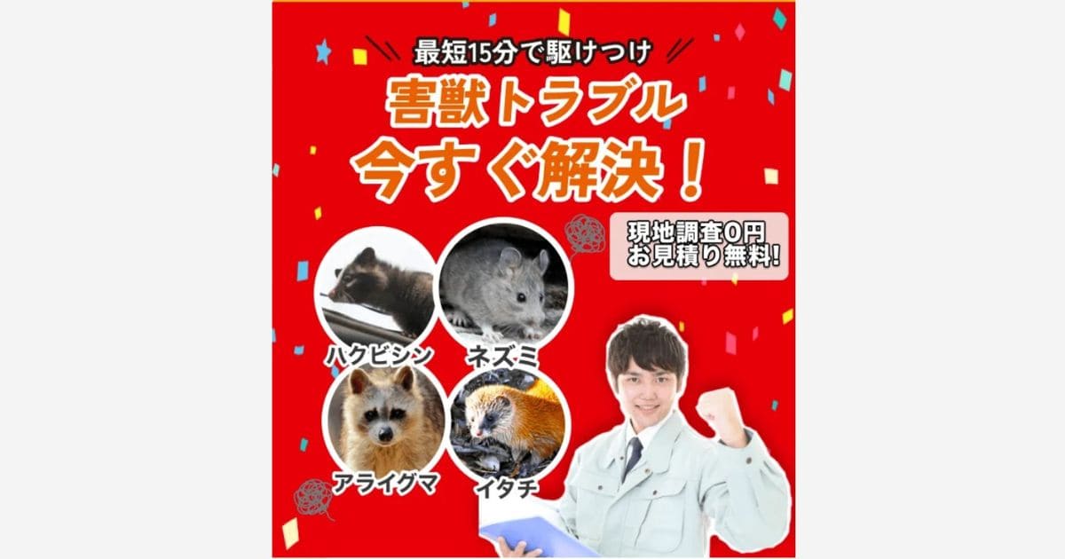 街角害獣駆除相談所 アライグマ駆除業者 おすすめ