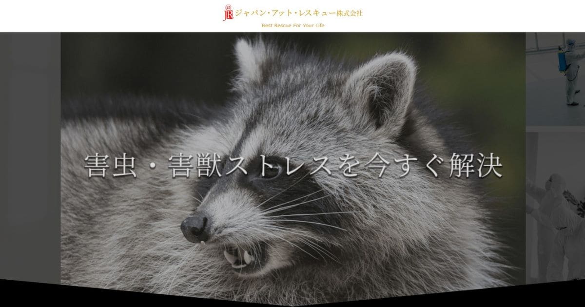 ジャパンアットレスキュー アライグマ駆除業者 おすすめ