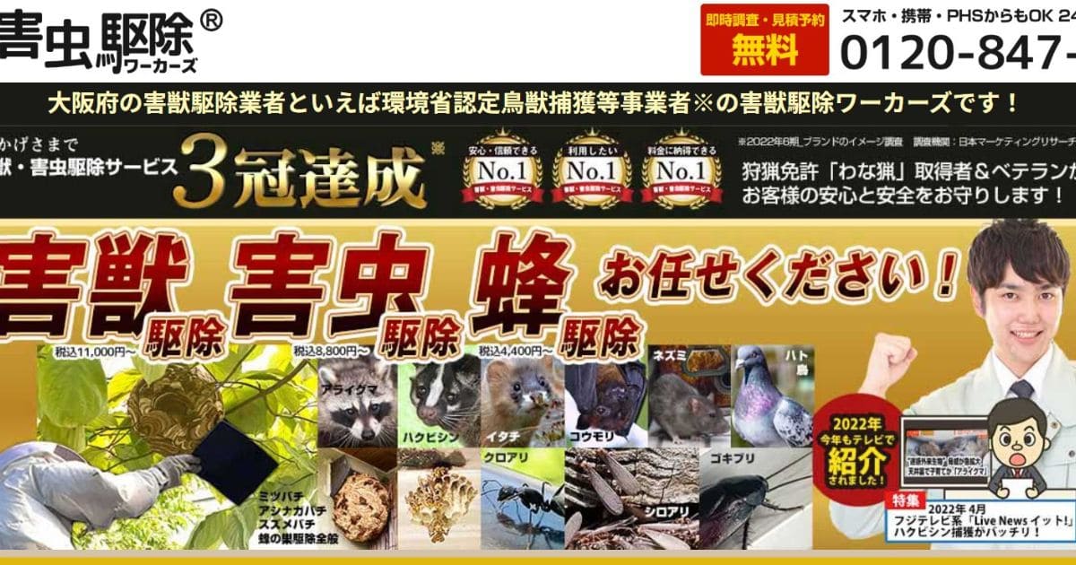 駆除ワーカーズ アライグマ駆除業者 おすすめ