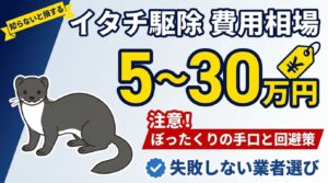 イタチ駆除の費用相場は5～30万円？ぼったくりの手口と失敗しない業者選び