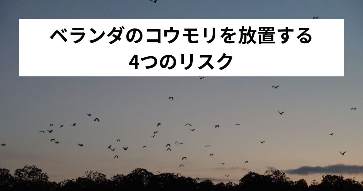 ベランダのコウモリを放置する4つのリスク