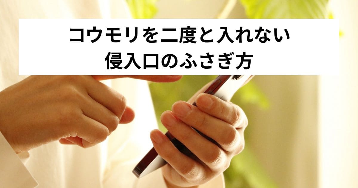 コウモリを二度と入れない侵入口のふさぎ方