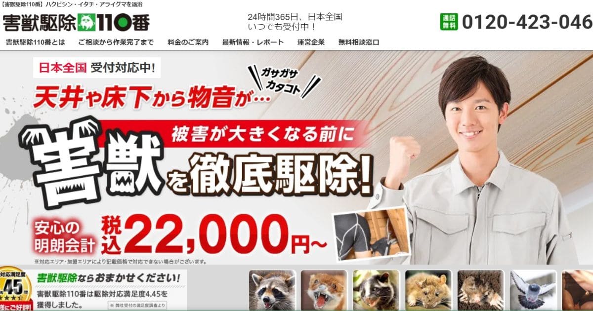 害獣駆除110番 アライグマ駆除業者 おすすめ
