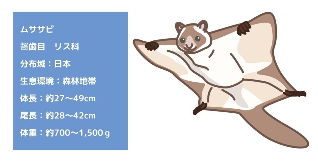ムササビが家に侵入!?被害内容や駆除について解説! - 駆除アンサー - 害獣駆除のプロが解説するお役立ち情報サイト