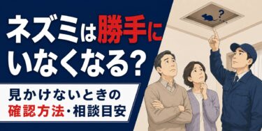 ネズミは勝手にいなくなる？見かけなくなったときの確認方法と相談の目安